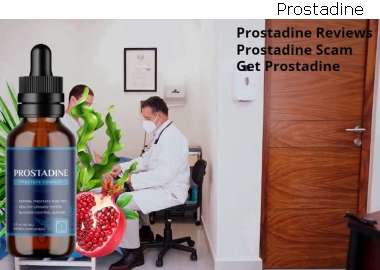 Prostadine Prostate Active Surveillance